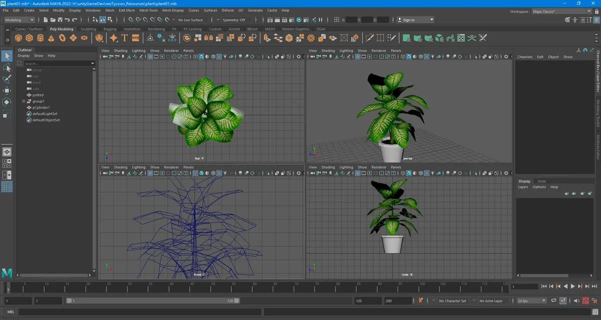 Dieffenbachia study