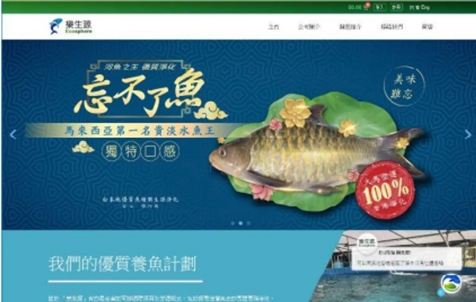 Website project 4