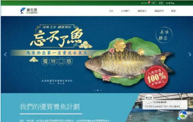 Website project 4